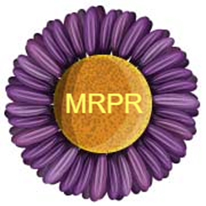 Mary Rau Public Relations